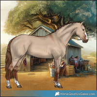 Horse Color:Red Dun 