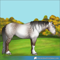 Horse Color:Gray Classic Champagne Tobiano 