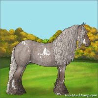 Horse Color:White Spotted Silver Blue Roan 