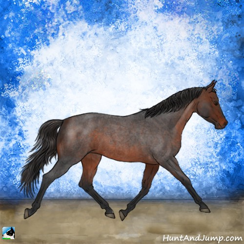 Horse Color:Brown Roan 