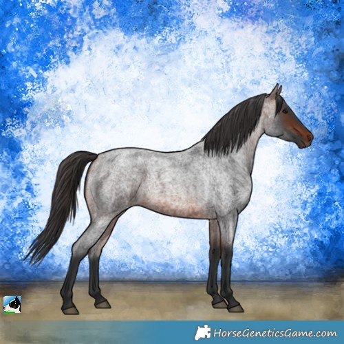 Horse Color:Brown Roan