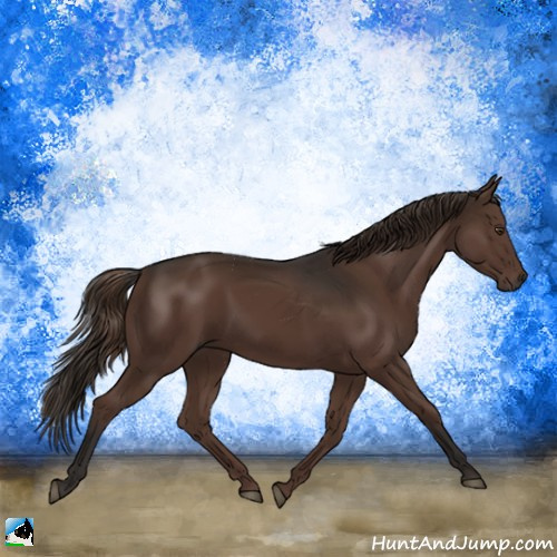 Horse Color:Liver Chestnut