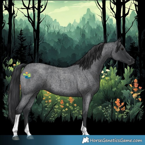 Horse Color:Blue Roan Tobiano Rabicano 