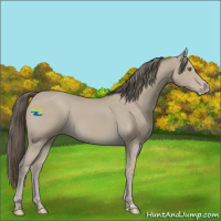 Horse Color:Classic Cream Champagne 