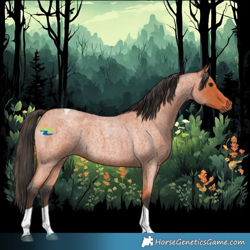 Horse Color:Bay Roan Tobiano 