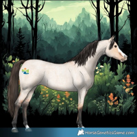 Horse Color:Bay Roan Dun Splash 