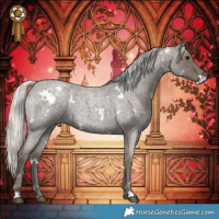 Horse Color:White Spotted Silver Blue Roan 