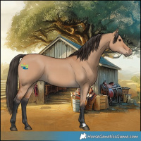 Horse Color:Bay Dun