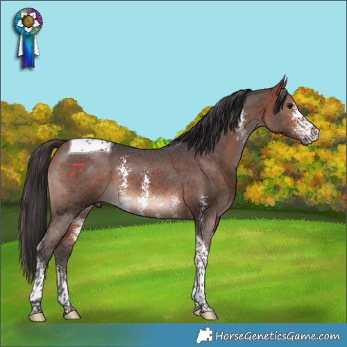 Horse Color:Bay Mushroom Sabino Tobiano 