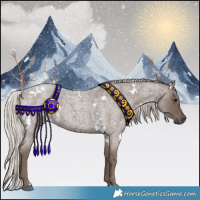 Horse Color:White Spotted Silver Blue Roan 