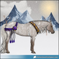 Horse Color:White Spotted Silver Blue Roan 