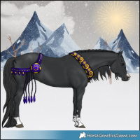 Horse Color:Black 