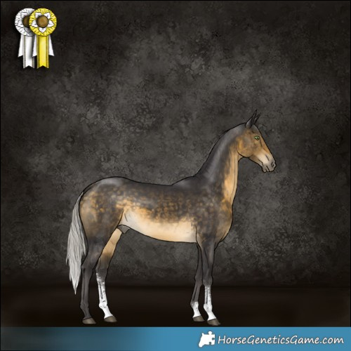 Horse Color:Silver Buckskin Sabino Rabicano