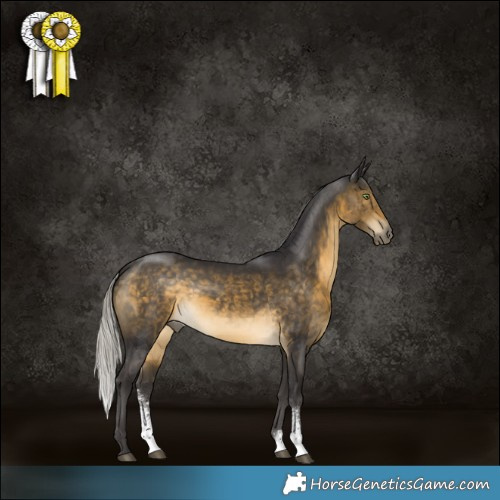 Horse Color:Silver Buckskin Sabino Rabicano