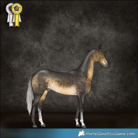 Horse Color:Silver Buckskin Sabino Rabicano 