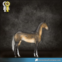 Horse Color:Silver Buckskin Sabino Rabicano