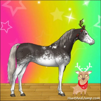 Horse Color:Gray White Spotted Silver Black 