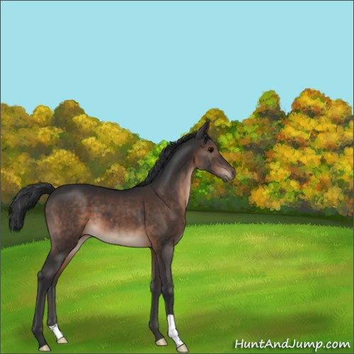 Horse Color:Brown 