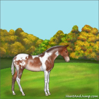 Horse Color:Silver Brown Tobiano Varnish Rabicano 