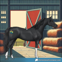 Horse Color:Black Tobiano Rabicano 