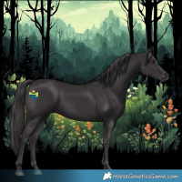 Horse Color:Smoky Black 