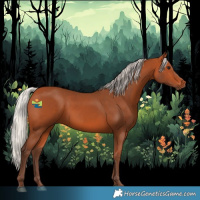 Horse Color:Silver Bay 