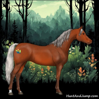 Horse Color:Silver Bay 