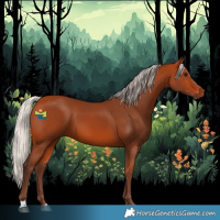 Horse Color:Silver Bay 