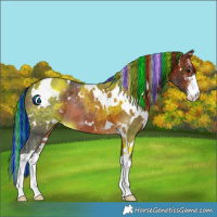 Horse Color:Painted White Spotted Bay 