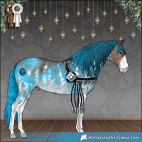 Horse Color:Brown Sabino 