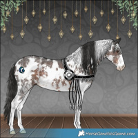 Horse Color:White Spotted Liver Chestnut Sabino 