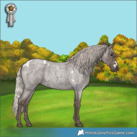 Horse Color:White Spotted Silver Blue Roan 