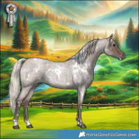 Horse Color:White Spotted Silver Blue Roan 