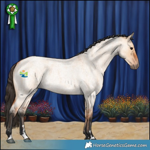 Horse Color:Bay Roan Dun 