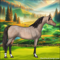 Horse Color:Bay Roan Dun 