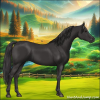 Horse Color:Smoky Black 