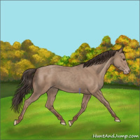 Horse Color:Classic Champagne 
