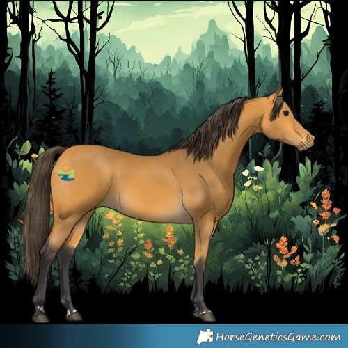 Horse Color:Buckskin 