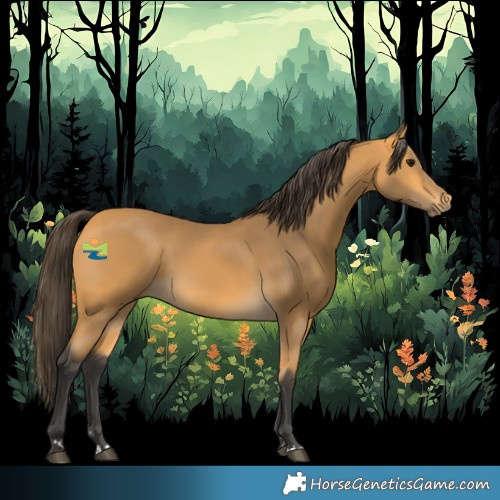 Horse Color:Buckskin 