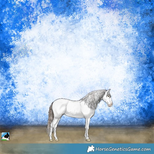 Horse Color:White Spotted Classic Champagne Sabino Appaloosa