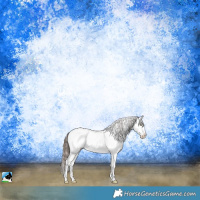 Horse Color:White Spotted Classic Champagne Sabino Near Fewspot 