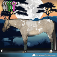 Horse Color:White Spotted Buckskin Roan Dun Rabicano