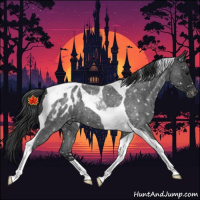 Horse Color:Blue Roan Tobiano Blanket 
