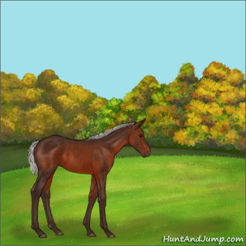 Horse Color:Silver Brown 
