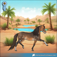 Horse Color:White Spotted Buckskin Tobiano 