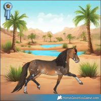 Horse Color:White Spotted Buckskin Tobiano 