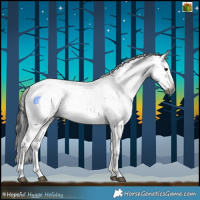 Horse Color:Gray Brown Sabino Splash Rabicano 