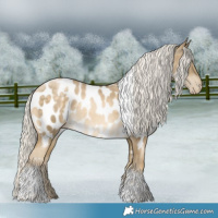 Horse Color:White Spotted Silver Buckskin Pearl Tobiano Near Leopard 