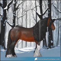 Horse Color:Brown Tobiano 