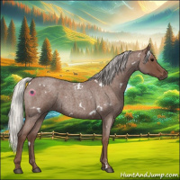 Horse Color:White Spotted Silver Blue Roan 